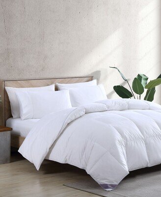 Loftworks Natural Down Blend Comforter with High-Loft Medium Warmth, Full/Queen