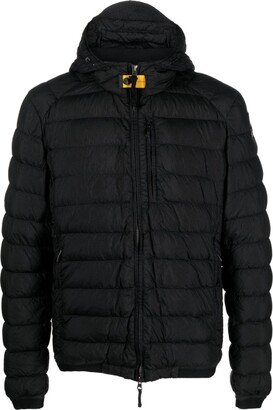 Wilfred hooded padded jacket