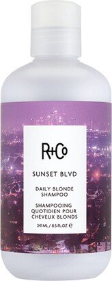 Sunset Blvd Blonde Shampoo 8.5 oz