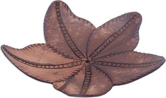 Handmade Robust Rose Coconut Shell Soap Dish - Brown