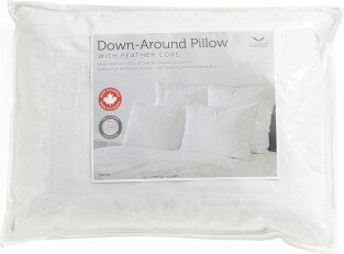 TJMAXX Down Around Pillow