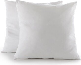 Cheer Collection Throw Pillow Inserts, 2 Pack - 22