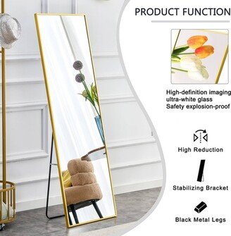 WLVOS Bathroom Vanity Full Body Mirror - Golden Frame