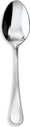 Contour Stainless Steel Serving Spoon