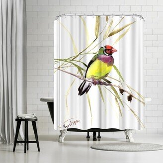 71 x 74 Shower Curtain, Gouldian Finch by Suren Nersisyan