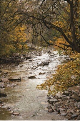 Kurt Shaffer Photographs Yellow Maples along the River Canvas Art - 19.5 x 26