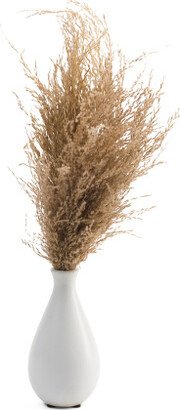 Dried Natural Pampas In Matte Vase