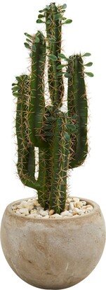 2.5' Cactus Artificial Plant in Bowl Planter