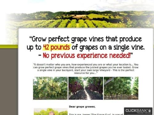 My-Grape-Vine.com Promo Codes & Coupons