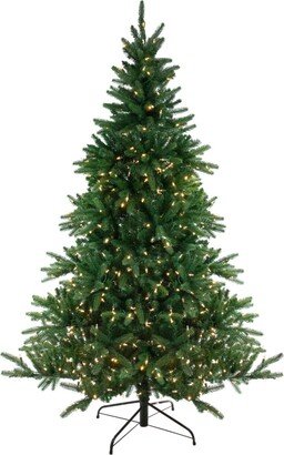 Northlight 6.5' Pre-Lit Led Instant-Connect Noble Fir Artificial Christmas Tree - Dual Lights