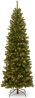 National Tree Company National Tree 6.5' North Valley Spruce Pencil Slim Tree with Clear Lights