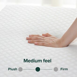 Priage by 8-inch Green Tea Cool Mate Memory Foam Mattress