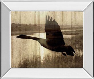 Journey by Tania Bello Mirror Framed Goose Photo Print Wall Art - 22 x 26