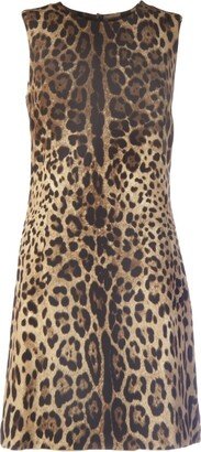 Leopard Printed Mini Dress