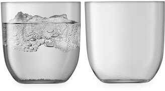 Utility Tumbler Two-Piece Drinking Glass Set