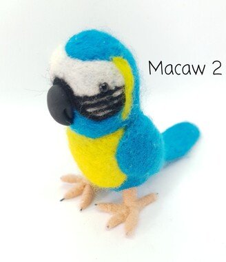 Macaw #2