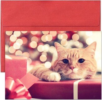 Masterpiece Studios 16-Count Boxed Cat Christmas Holiday Cards with Envelopes, 5.6 x 7.8, Purr-Fect Presents (965200)