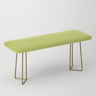 Tropical Dark Lime Green Yellow Solid Color Pairs Valspar Lime Burst 6007-10B Benches