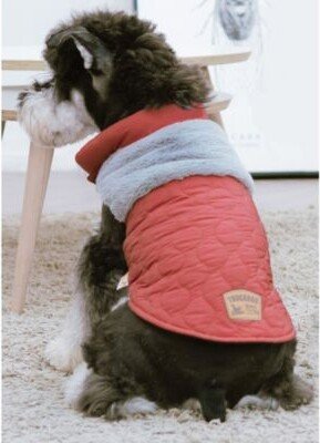 Furrost Bite Fashion Dog Jacket