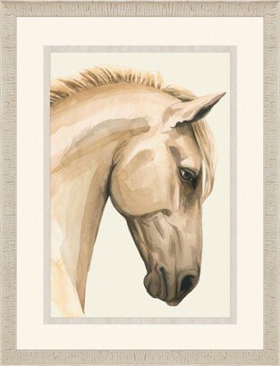 Paragon Picture Gallery Golden Palomino I Framed Art