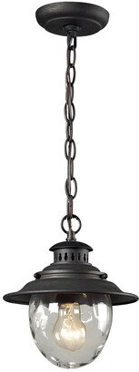 Artistic Home & Lighting Searsport 1 Light Outdoor Pendant In Weathered Charcoal-AA