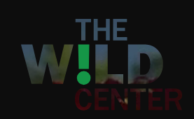 Wild Center