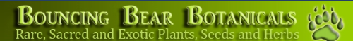 Bouncing Bear Botanicals Promo Codes & Coupons