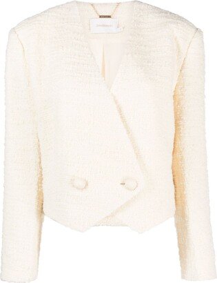 Luminosity cropped blazer