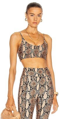 x Bandier Scoop Neck Bralette in Animal Print,Neutral