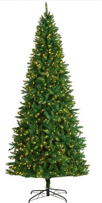 9’ Green Valley Fir Prelit LED Artificial Christmas Tree