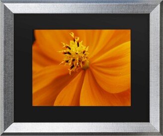 Kurt Shaffer Orange Flower Matted Framed Art - 27 x 33