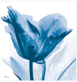 Lusty Blue Tulip By Albert Koetsier Wall Art