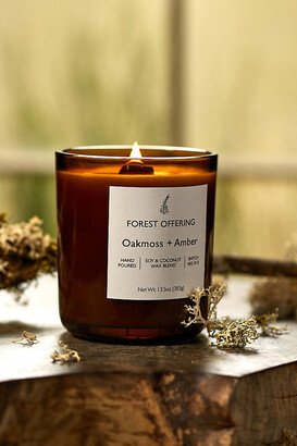 Forest Offering Candle, Oak Moss + Amber