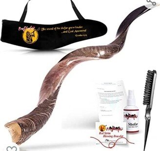 Kodu Shofar Half Polished Set