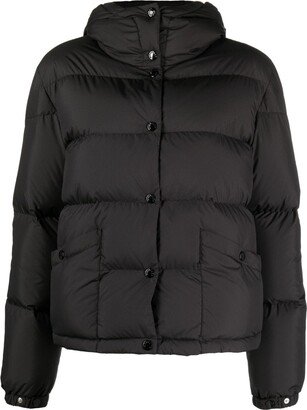 Ebre quilted hooded jacket