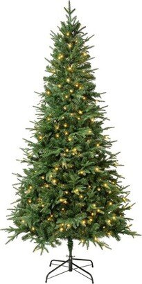 National Tree Company First Traditions Pre-Lit LED Duxbury Artificial Christmas Tree Warm White Lights