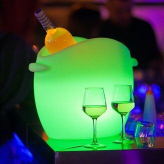 Fresh Bluetooth LED Champagne Cooler