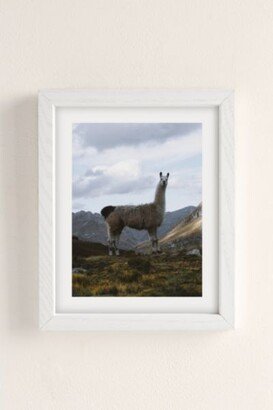 Rodrigo Trevino Peruvian Llama Art Print