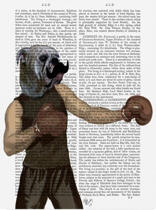 Fab Funky Boxing Bulldog Gloves, Portrait Canvas Art - 27