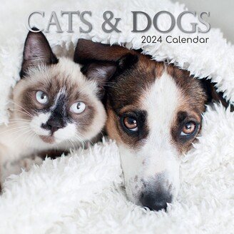 The Gifted Stationary The Gifted Stationery 2024 Square Wall Calendar, Cats & Dogs, 16-Month Animals Theme with 180 Reminder Stickers (12 x 12 In)