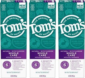 Whole Care Toothpaste - Wintermint - 3pk/4oz