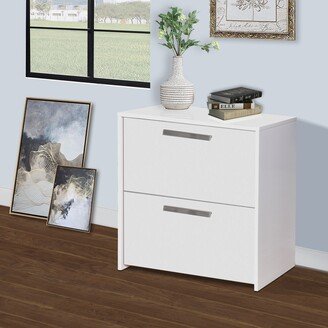 Saint Birch Miami White Wood Grain 2-Drawer Lateral File