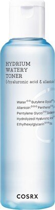 Hydrium Watery Toner, 5.07 fl. oz