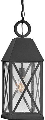 Briar Outdoor Pendant Light