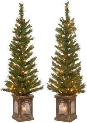 National Tree Company 4' Lehigh Valley Pine Entrance Tree in a Dark Bronze Urn with 50 Clear Lights- Set of 2