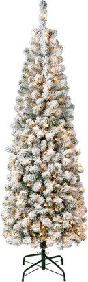 National Tree Company First Traditions 6' Acacia Pencil Slim Flocked Tree with Clear Lights