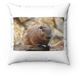 African Gundi Comb Rat Pillow - Throw Custom Cover Gift Idea Room Decor