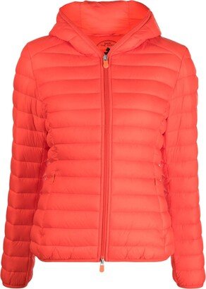 Hooded Quilted Jacket-AG