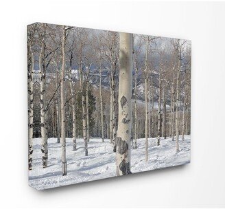 Winter Birches Photography Canvas Wall Art, 16 x 20