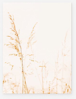 Lulu and Georgia Wild Grass Photography Print by Ingrid Beddoes